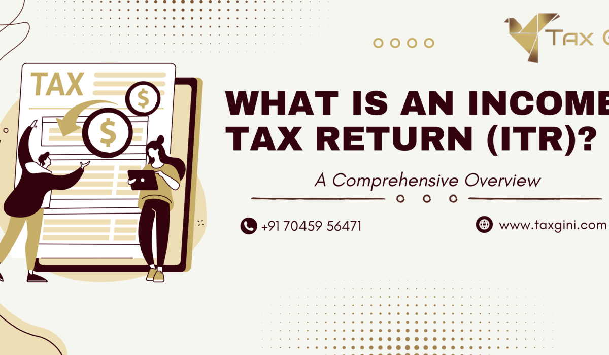 What is Income Tax Return